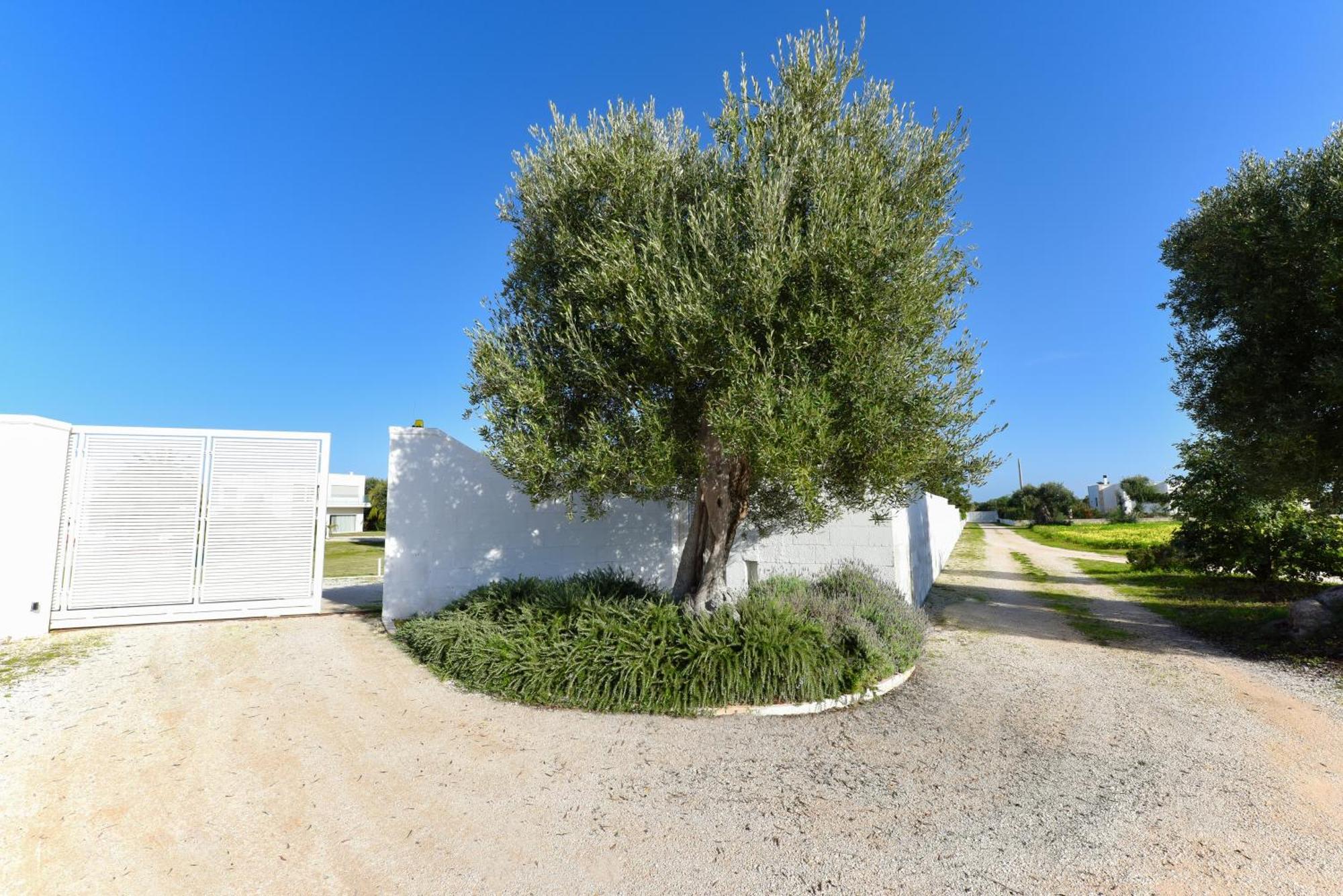 Villa Vinner - Monopoli Dış mekan fotoğraf